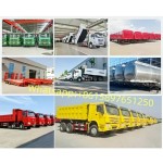 Cargo Truck Factory - Custom 2025 Isuzu 5ton 4x2 Diesel Mini