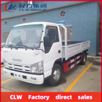 Cargo Truck Factory - Custom 2025 Isuzu 120hp 5 Ton 4x2