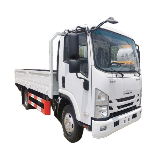 Cargo Truck Factory - Custom 2025 Isuzu 5ton 4x2 Diesel Mini