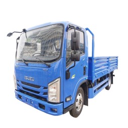Cargo Truck Factory - Custom 2025 Isuzu 4x2 5T 6T Light Duty