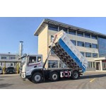 Dump Truck Factory - Custom 4x2 10 Ton Tipper Truck Africa