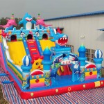 Inflatable Castle Manufacturer - Customized Commercial Jumping Combo Slide