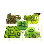 Wholesale Kiwi Crisp 500g Kiwi Fruit Dried Kiwi Snacks