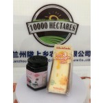 Fresh Triangle Style Sponge Cheese Cake