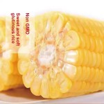 Vacuum Packing Sweet Corn Stick Wholesale Price Soft Glutinous Fresh Sweet Corn Stick