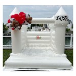 Bounce House Factory - PVC Inflatable Slide Ball Pool with Blower