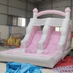 Water Slide Supplier - Hot Sale Dual Lane Inflatable Pool Water Slide