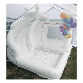 Bounce House Factory - PVC Inflatable Slide Ball Pool with Blower