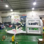 Bubble House Factory - Kids Birthday Inflatable Dome Igloo Camping