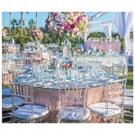Chiavari Chair Manufacturer - Crystal Clear Plastic Resin Acrylic