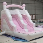 Water Slide Supplier - Hot Sale Dual Lane Inflatable Pool Water Slide