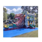 Jumping Castle Manufacturer - Outdoor Inflatable Castle Combo Slide