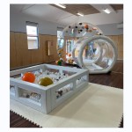 Inflatable Dome Supplier - Kids Birthday Bouncy Dome Tent Balloon