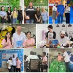 Ball Pit Slide Supplier - Commercial Luxury Indoor Wooden Stair Slides