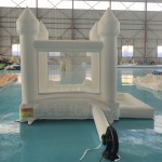 Inflatable Balloons Supplier - Commercial Grade PVC Waterproof Multi