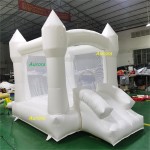 Party Rental Supplier - Hot Sale Small Bounce House Double Ball Pit