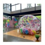 Bubble House Factory - Backyard Party Jumper Inflatable Bubble