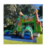 Jumping Castle Manufacturer - Outdoor Inflatable Castle Combo Slide