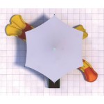 Modular Playground Supplier - Budget Friendly Pirate Ship PE Board