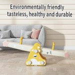 Seesaw Factory - Indoor Aircraft Design Double Kids