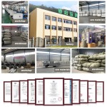 Plastic Balls Factory - Wholesale Crush Proof BPA Free Balls