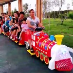 Train Ride Factory - Electric 1+3 Cabins Cartoon Animal