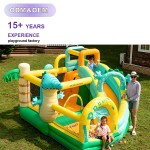 Water Slide Supplier - Commercial Inflatable Water Slide Bounce House