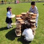 Building Blocks Manufacturer - Moetry Large Wooden Stacking Pebble