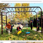 Monkey Bar Factory - Moetry Kids Outdoor Monkey Bar Metal Swing Frame