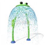 Splash Pad Supplier - Moetry Frog Splash Pad Equipment Aqua