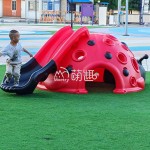 Ladybird Climber Supplier - Moetry Red Ladybird Shaped Dome Slide