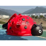 Ladybird Climber Supplier - Moetry Red Ladybird Shaped Dome Slide