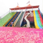 Slide Manufacturer - Hot Design Long Slide Safety System Theme