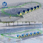 Roller Coaster Supplier - Kids Roller Coaster Attractions Park