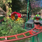 Roller Coaster Supplier - Hot Sale Trailer Mounted Fruit Coaster