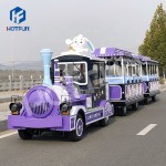 Trackless Train Supplier - Customized Trackless Electric Tourist