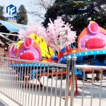 Roller Coaster Supplier - Kids Roller Coaster Attractions Park