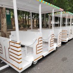 Trackless Train Supplier - Public Locomotive Train Outdoor Backyard