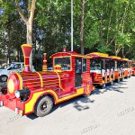 Trackless Train Supplier - 29 Seats Fiberglass Tourist Train Ride