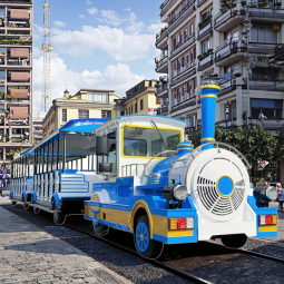 Trackless Train Manufacturer - Attractive Public Locomotive Train