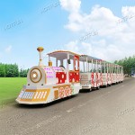 Trackless Train Supplier - Public Locomotive Train Outdoor Backyard