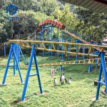 Roller Coaster Supplier - Outdoor Delicate Hot Selling Family Coaster