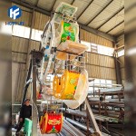 Ferris Wheel Manufacturer - New Design Outdoor Steel Mini European