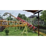 Roller Coaster Supplier - Fixed Type Family Roller Coaster