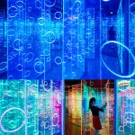 Amusement Ride Manufacturer - Park Facilities Portable Coaster