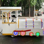 Trackless Train Supplier - Public Locomotive Train Outdoor Backyard