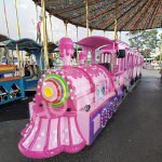 Trackless Train Factory - Inexpensive Electric Train Outdoor Kids