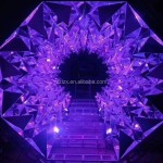 Roller Coaster Factory - Portable Dragon Coaster Family Ride