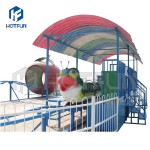 Roller Coaster Manufacturer - Directly Supply Portable Wacky Worm