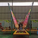 Trampoline Park Factory - Hot Sale Colorful Bungee Trampoline Night